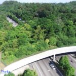 Kaziranga Elevated Corridor Sparks Global Conservation Concern