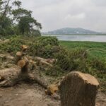Urban Expansion Around Deepor Beel Raises Ecological Concerns